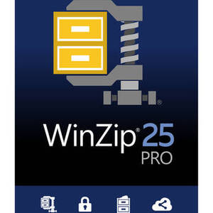 25 Pro with Multilingual Support (DVD)