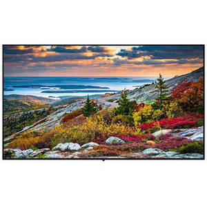 TH-49CQE1W 49" Class 4K UHD Professional LED Display
