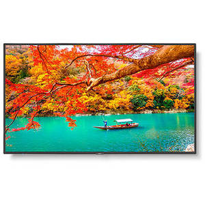 MultiSync MA 43" Class HDR 4K UHD Digital Signage IPS LED Display