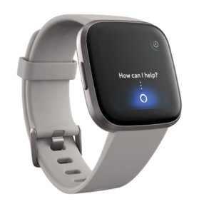 Fitbit Versa 2⢠(Stone/Mist Grey Aluminum)