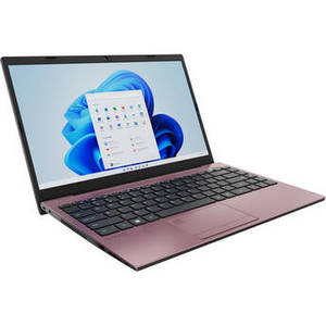14.1" FE14 Laptop (Rose Gold)