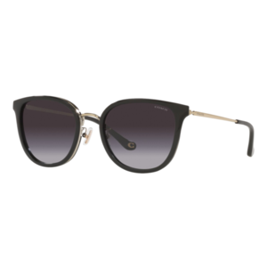 Coach Women's HC7135 Sunglasses