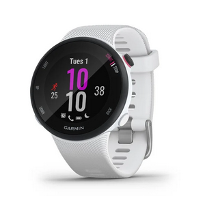 ForerunnerÂ® 45S 39mm (White)