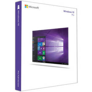 Windows 10 Pro (64-bit, OEM DVD)