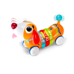 Remote Control Rainbow Pup