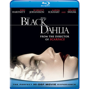 Black Dahlia