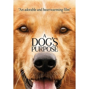 Dogs Purpose