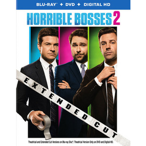 Horrible Bosses 2