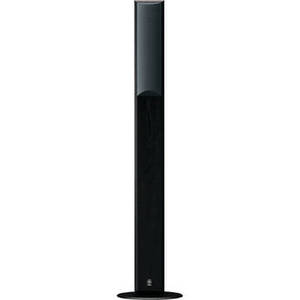 NS-F210 2-Way Bass Reflex Floorstanding Speaker (Black, Single)