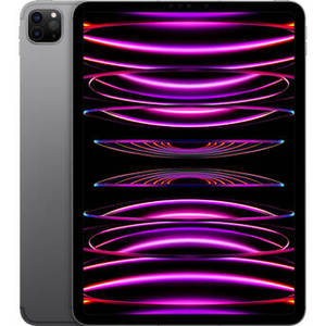 11" iPad Pro M2 Chip (Late 2022, 256GB, Wi-Fi + 5G LTE, Space Gray)