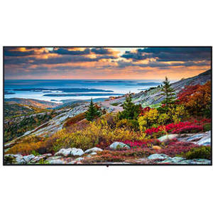 TH-55CQE1W 55" Class 4K UHD Professional LED Display